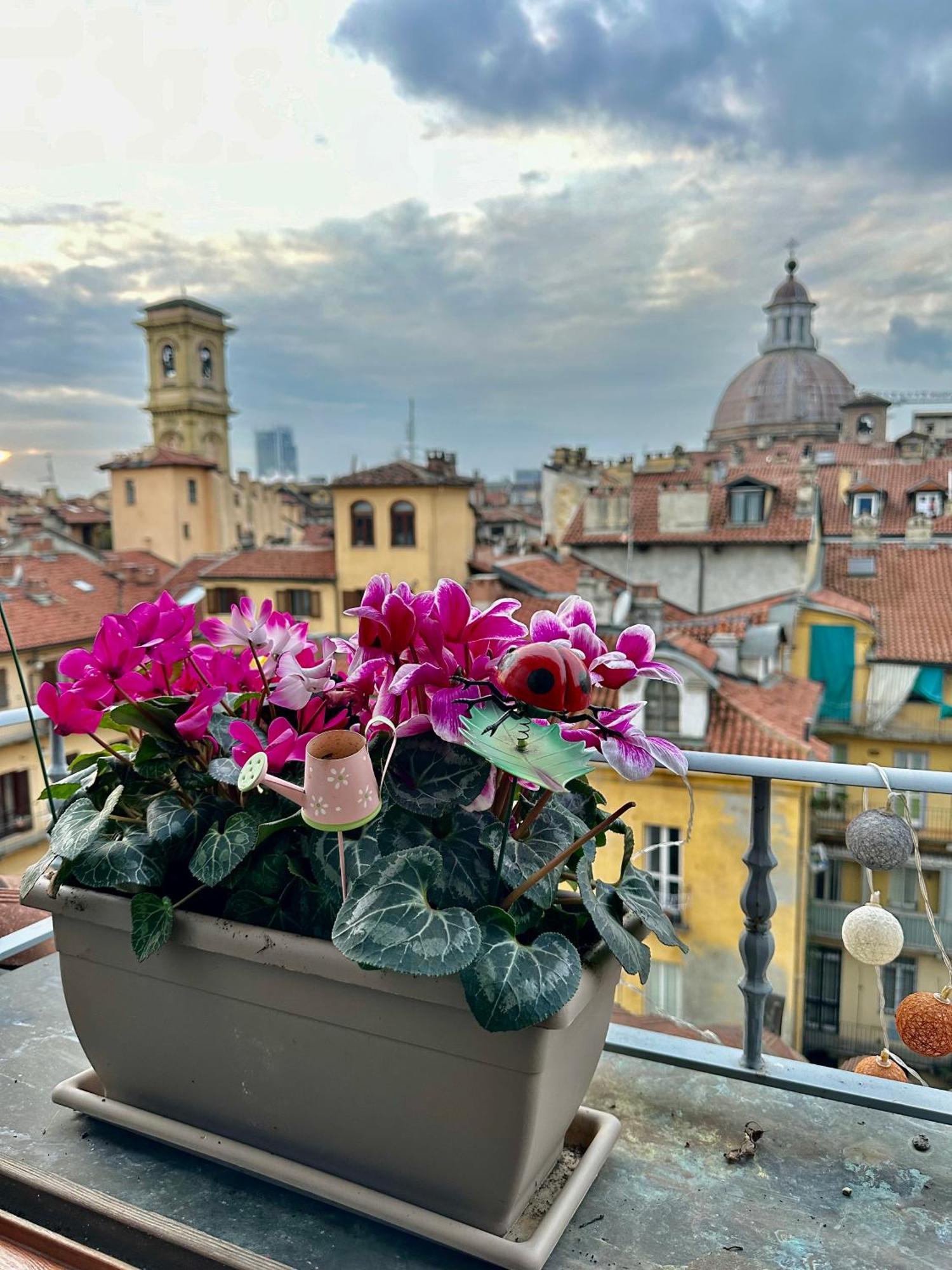 Apartament Loft Centro Storico Tommaso *